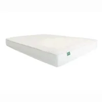 Palmpring Organic Cambay Coconut Coir mattress (queen)