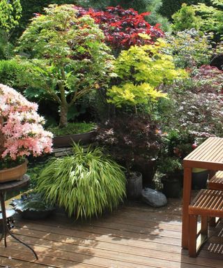 An oriental garden with a koi carp pond, featuring Japanese elements, granite lanterns, bamboo, ornamental grasses, bonsai and Japanese maples