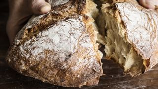 Best quick and easy bread recipes