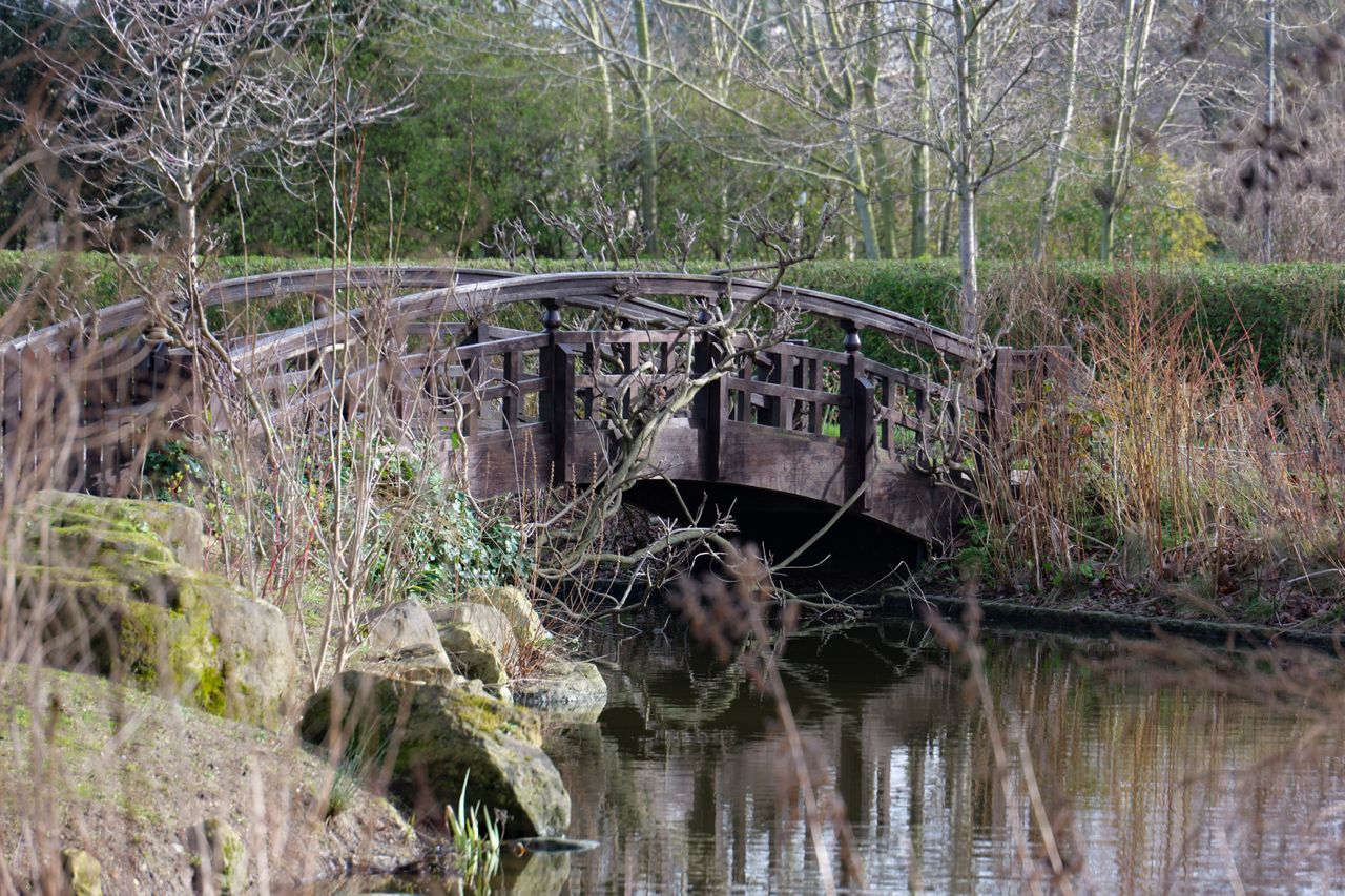 Park with a lake with a bridge across it