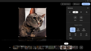 a cat picture being edited using Google Photos' Movie Editor