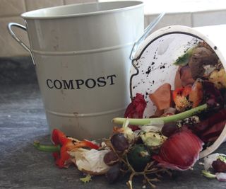A pile of kitchen scraps ready for the compost heap