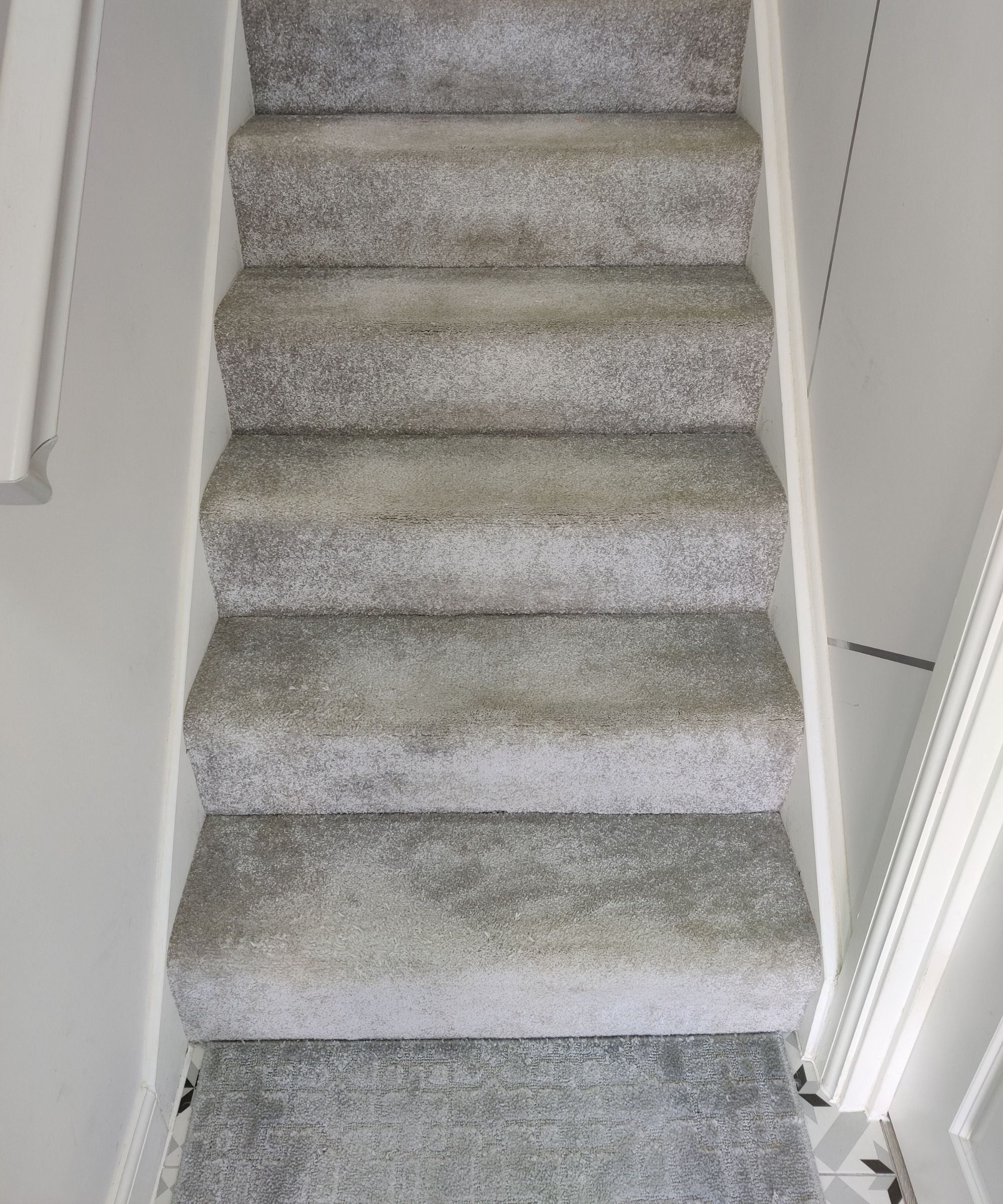 A set of grey carpeted stairs leading upward between white walls, with clean, modern detailing.