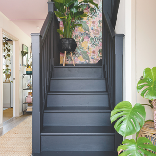 Black staircaise with pink walls. Large green houseplants feature at the bottom of the steps and halfway up