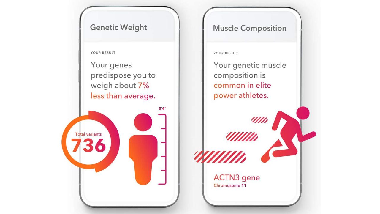 23andMe DNA test review