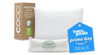 Image shows the Coop Home Goods Adjustable Pillow next to the cardboard box it ships in