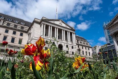 Variegated tulips planted in flower beds opposite the Bank of England in the City of London