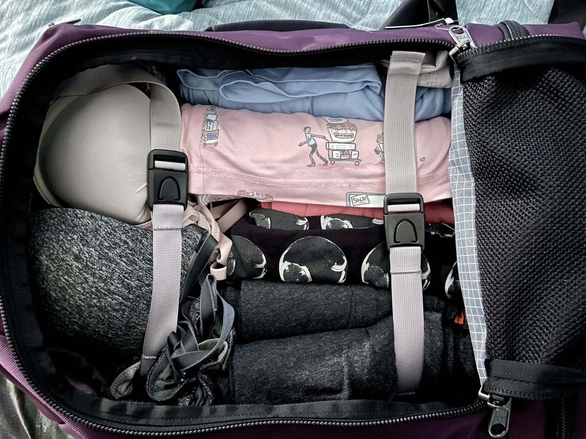 Tom Bihn Techonaut 30 Aubergine Tie Down Straps