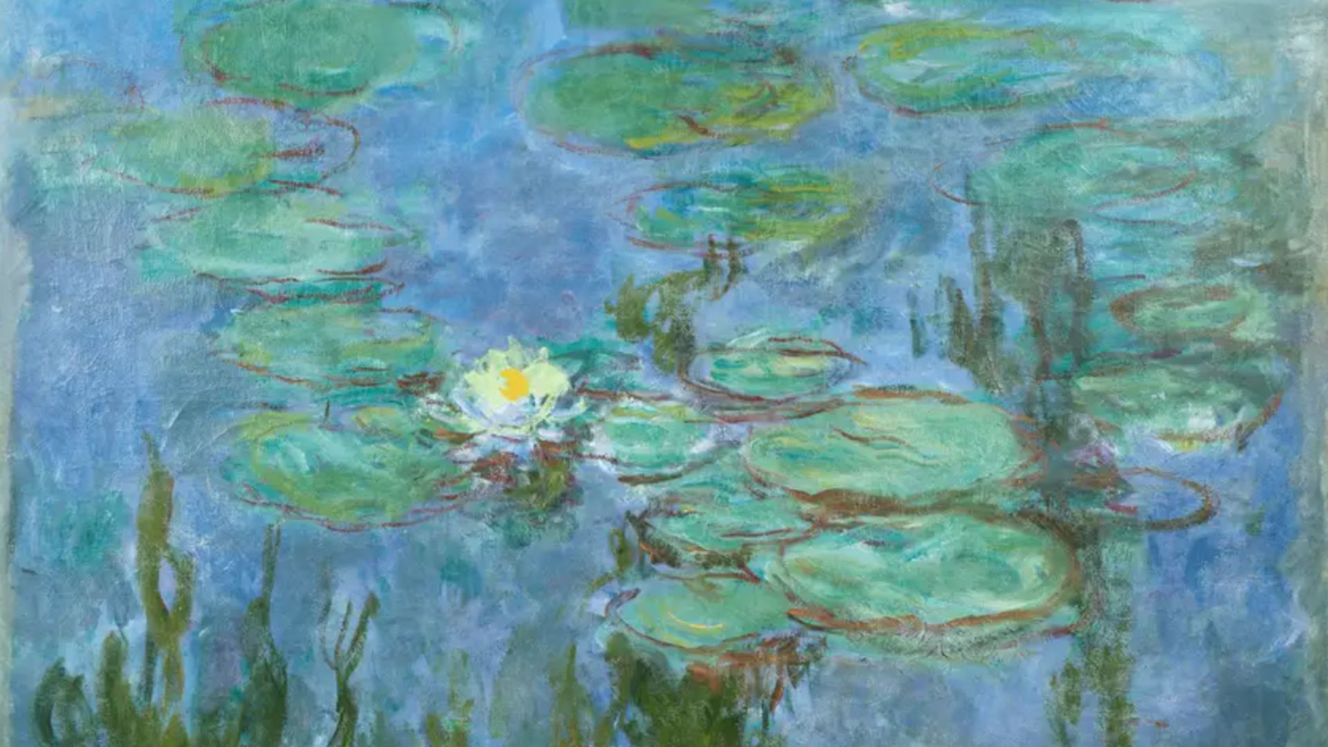 an image of Claude Monet's famous waterlilies painting 