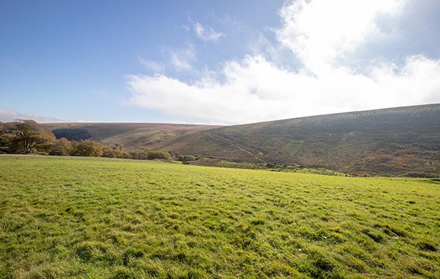 Emmetts Farm Somerset-7
