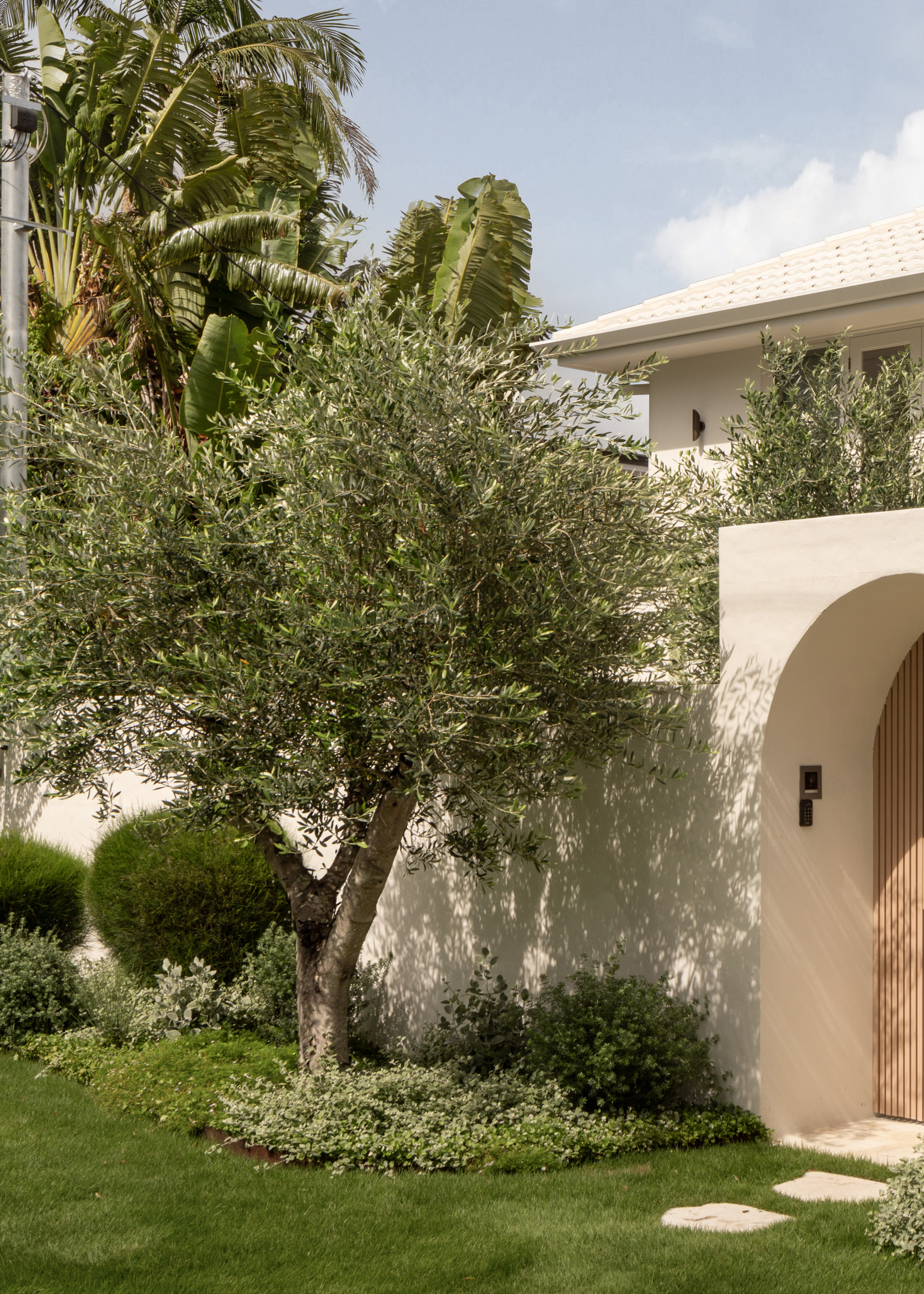 An outdoor garden with an olive tree, rounded topiaries, ground cover, and green grass leading to an arched doorway with a wood panelled door