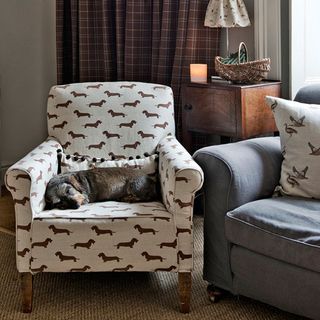 armchair with dog print and duck print cushion