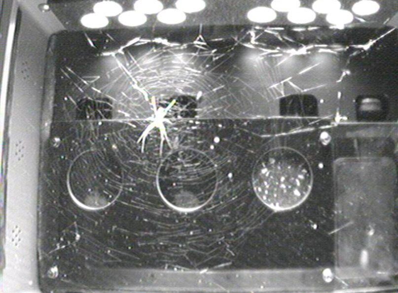 NASA's Space Spiders Star in eBook for 'The Amazing SpiderMan 2' Space