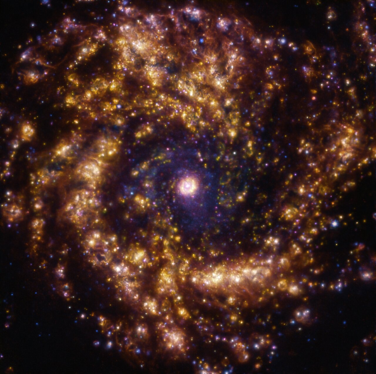 a swirl of golden stars