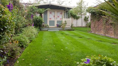 Garden with stone and wood path between lawn and raised beds