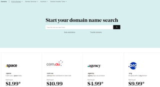 GoDaddy's domain registration portal