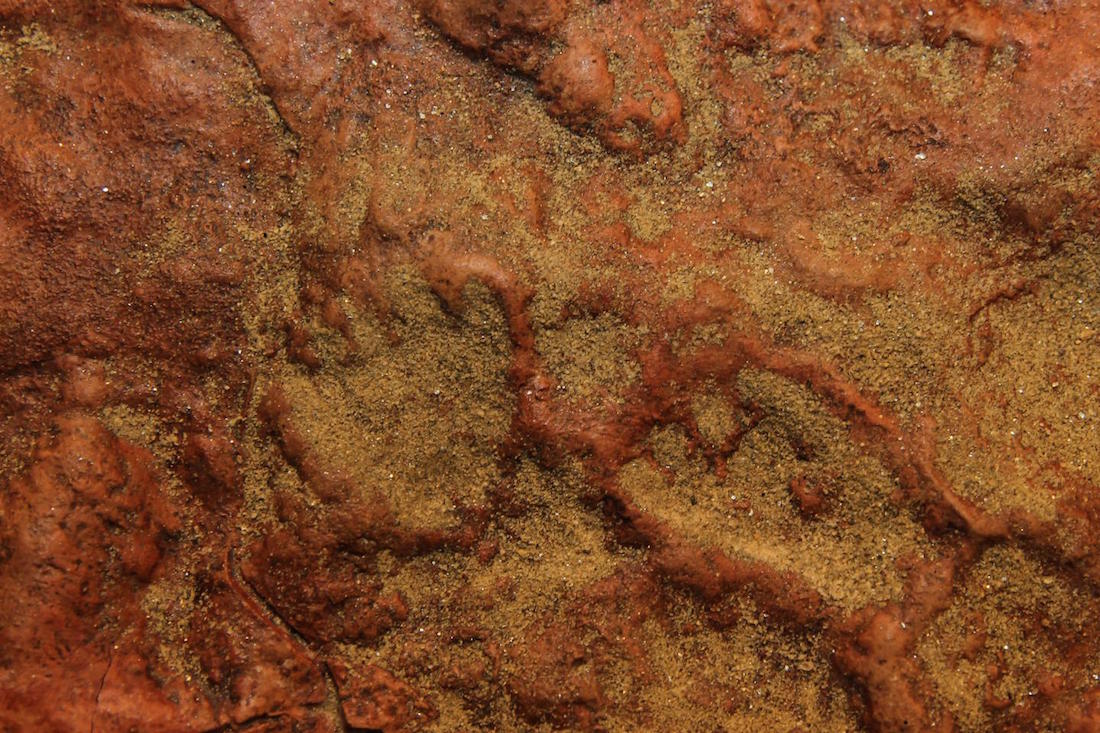 dinosaur and mammal footprints