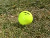 Honma A1 golf ball