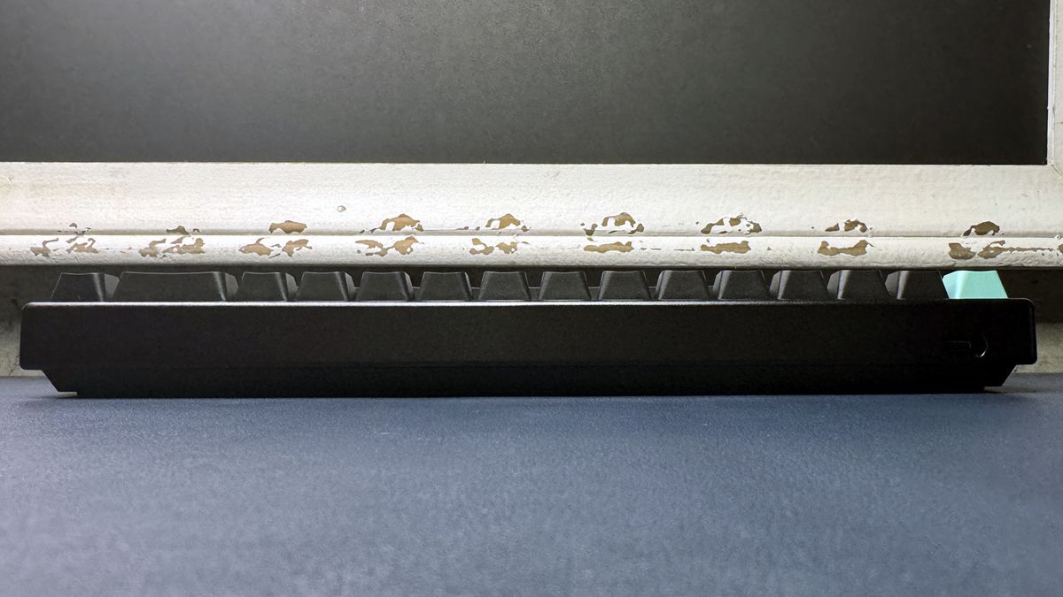 Arbiter Studio Polar 65