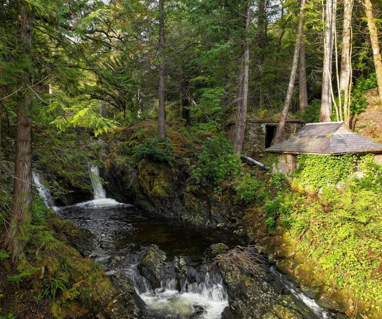 A river next to a house and outbuilding with surrounding forestry
