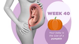 Pregnancy week by week 40