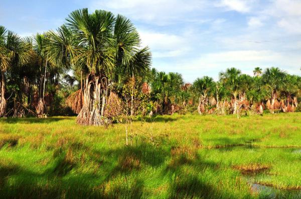 Traveling the Transamazon Highway: A Journey in Pictures | Live Science