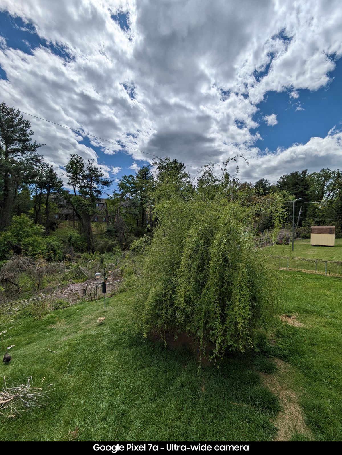 Google Pixel 7a camera samples