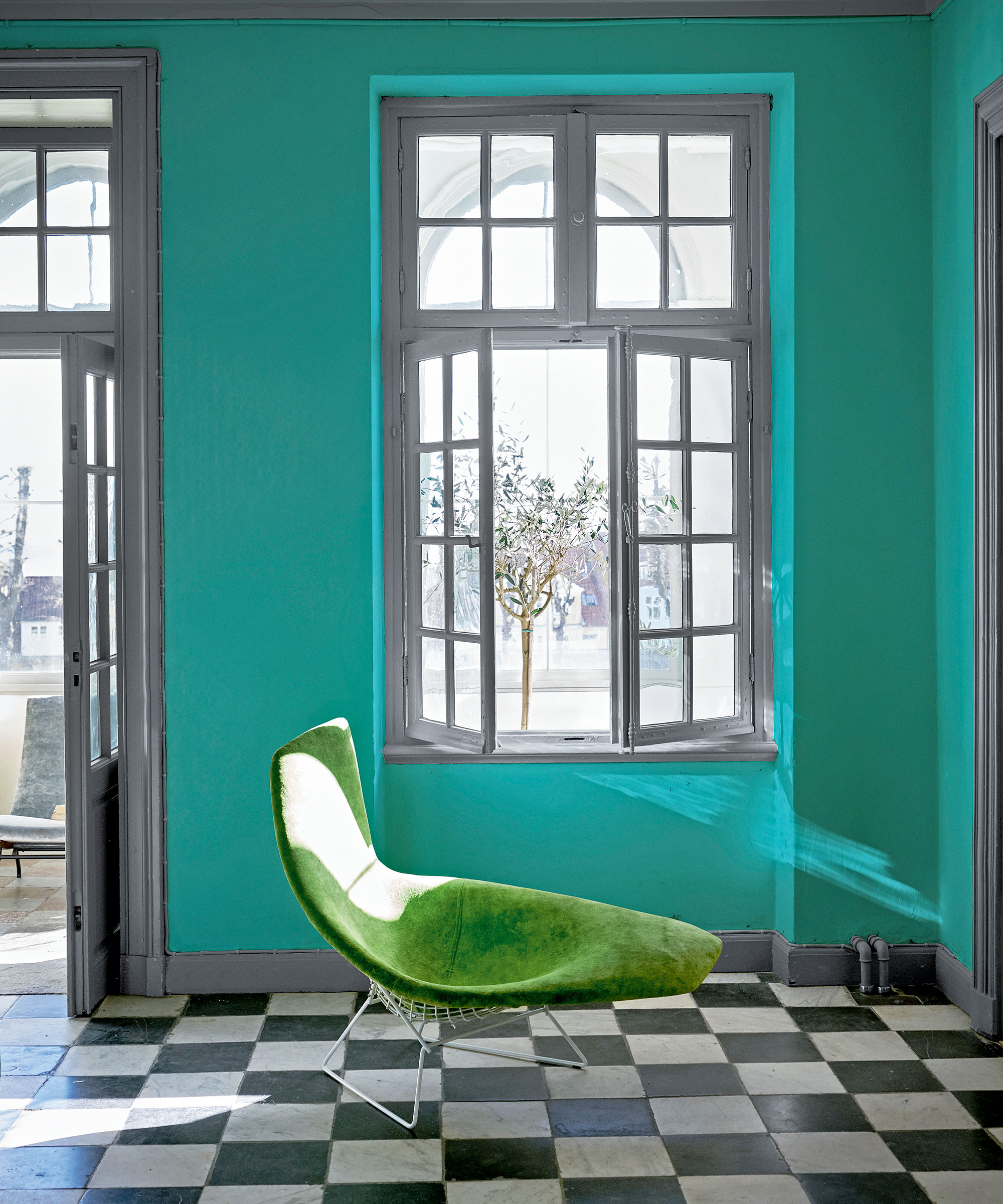 Color of the month turquoise trend