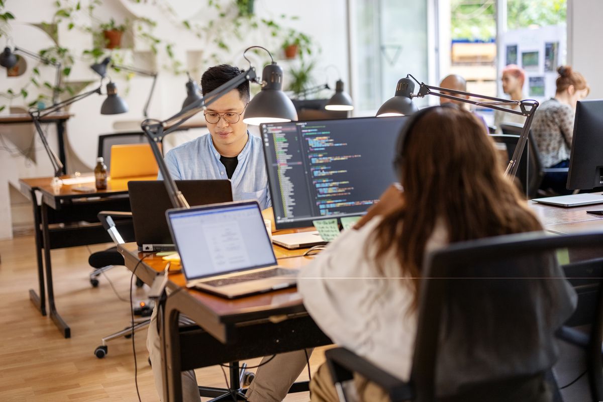 Computer programmers working at a startup company