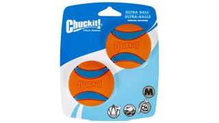 ChuckIt Ultra Ball dog chew toy