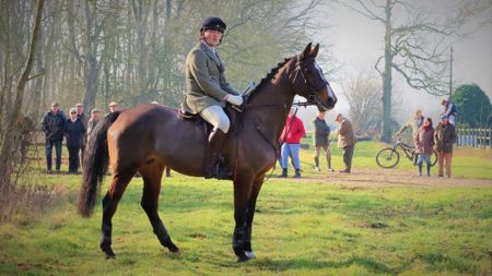 A rider and horse stand at a meet