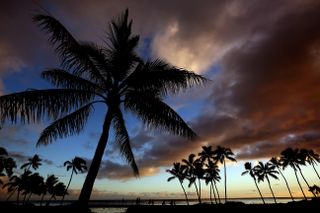 Sunset on a beach with palm trees