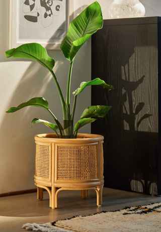wooden wicker planter with a plant inside