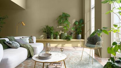 living space painted in dulux lush palette with houseplants