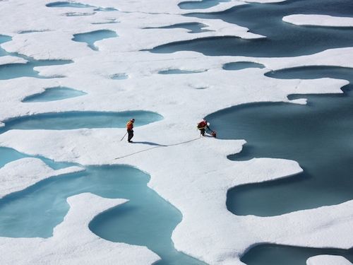 Melt waters atop Arctic sea ice