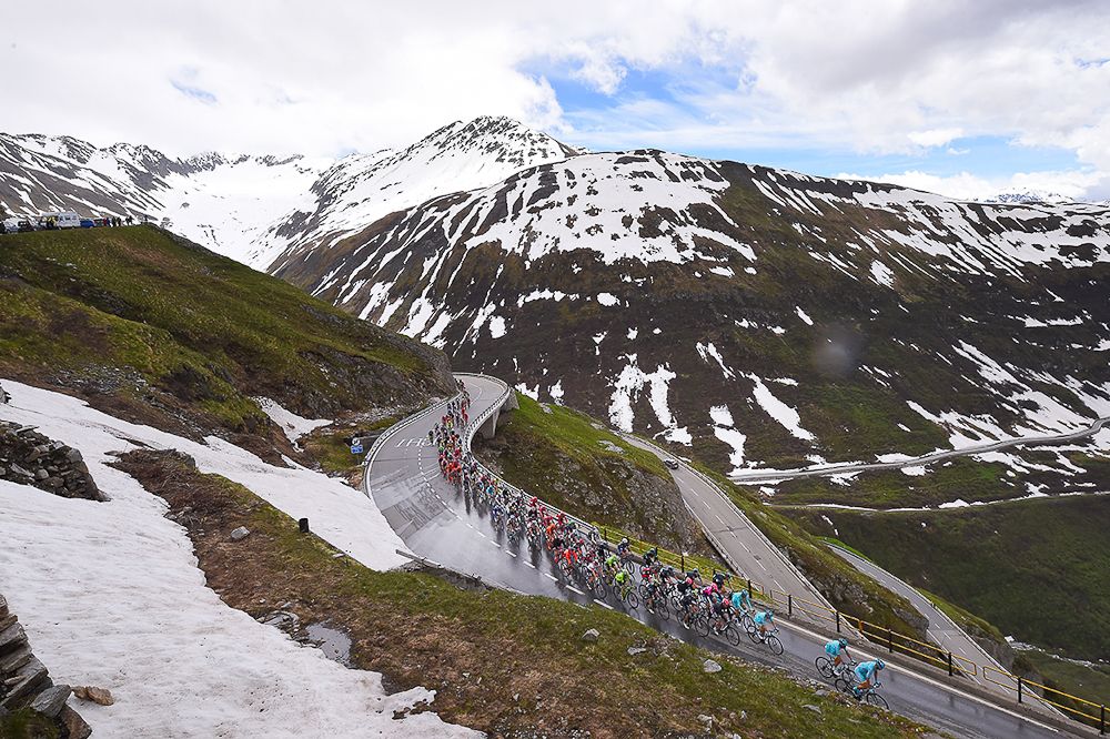 The peloton in action during stage 5 at the Tour de Suisse