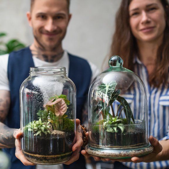 Open Vs. Closed Terrariums What Is The Difference? Gardening Know How