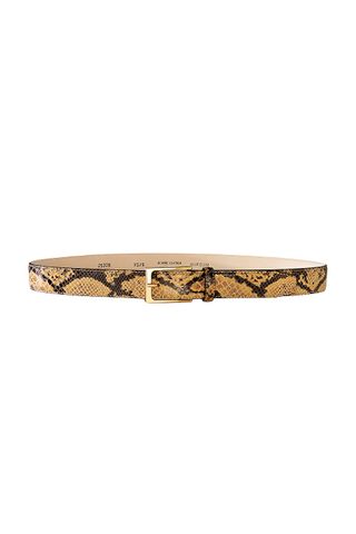 Aureum snake embossed belt on white background