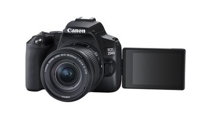 Best DSLR Camera 2024: From Beginner To Pro Digital SLRs | T3