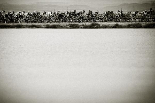 The peloton rolls through the acres of rice fields along today's route