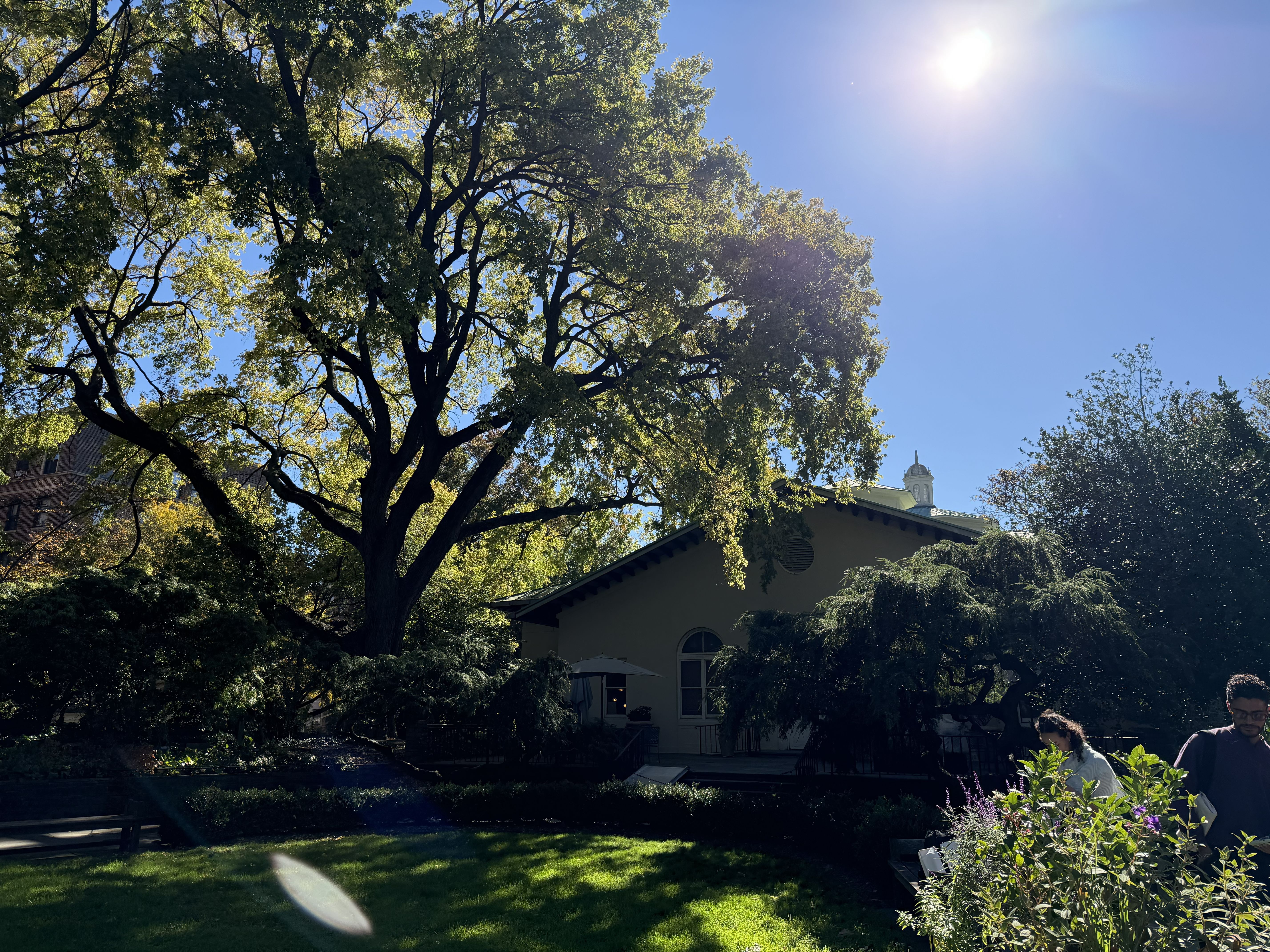 Apple iPhone 17 Pro Max daytime sample.