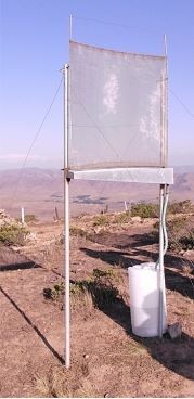 A test fog collector set up in Chile. Water gathers in the white plastic drum below.