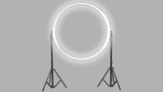 Saturn Pro 48-inch ring light - World's biggest ring light is so big you can walk through it! 