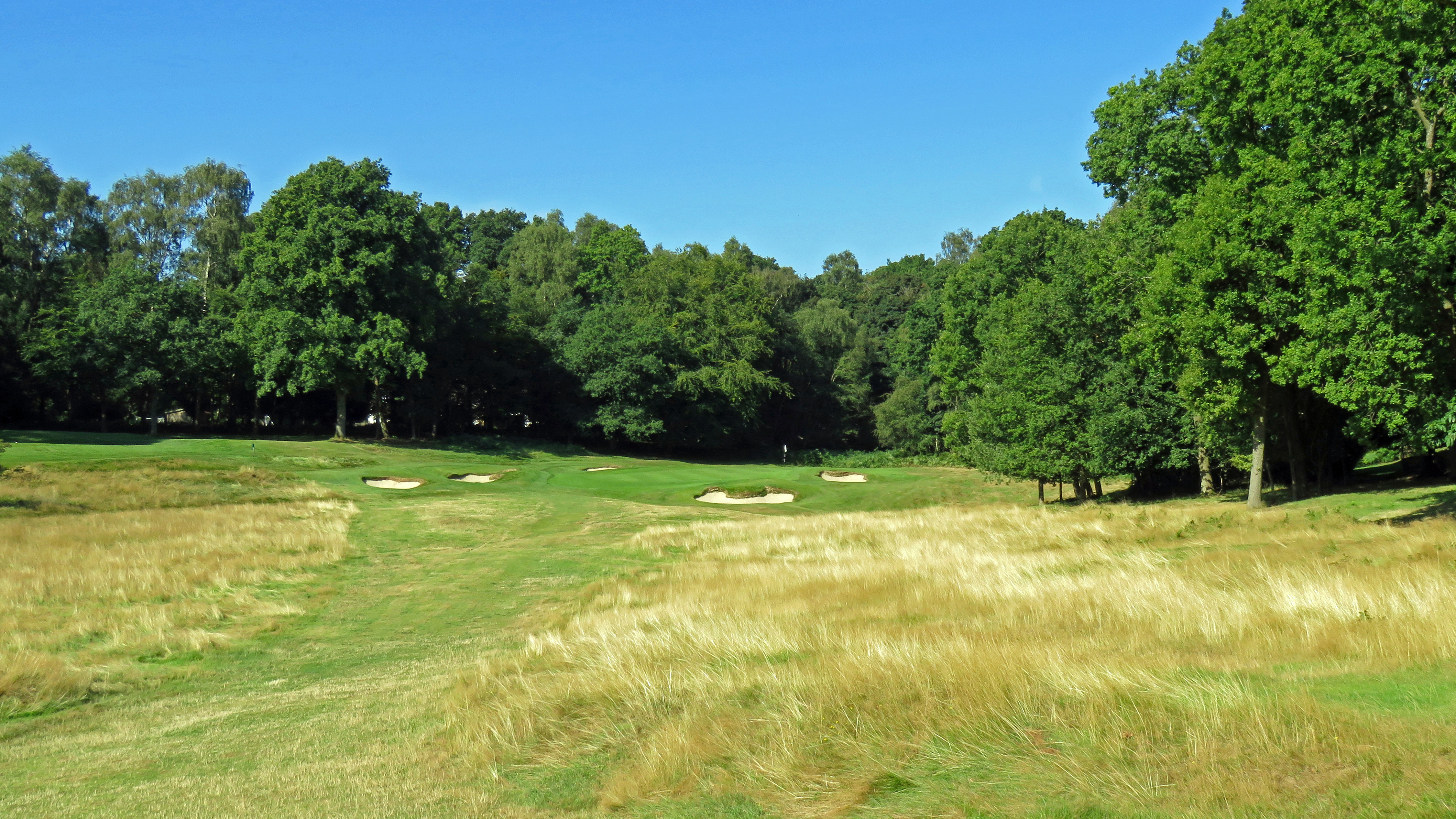 Ashridge - Hole 11 - RS