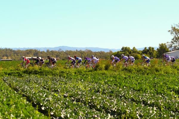 The race went past fields of cauliflower