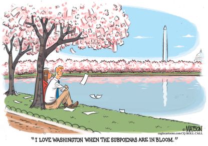 Political Cartoon U.S. Trump Subpoenas Washington D.C. Mueller Investigation Oversight