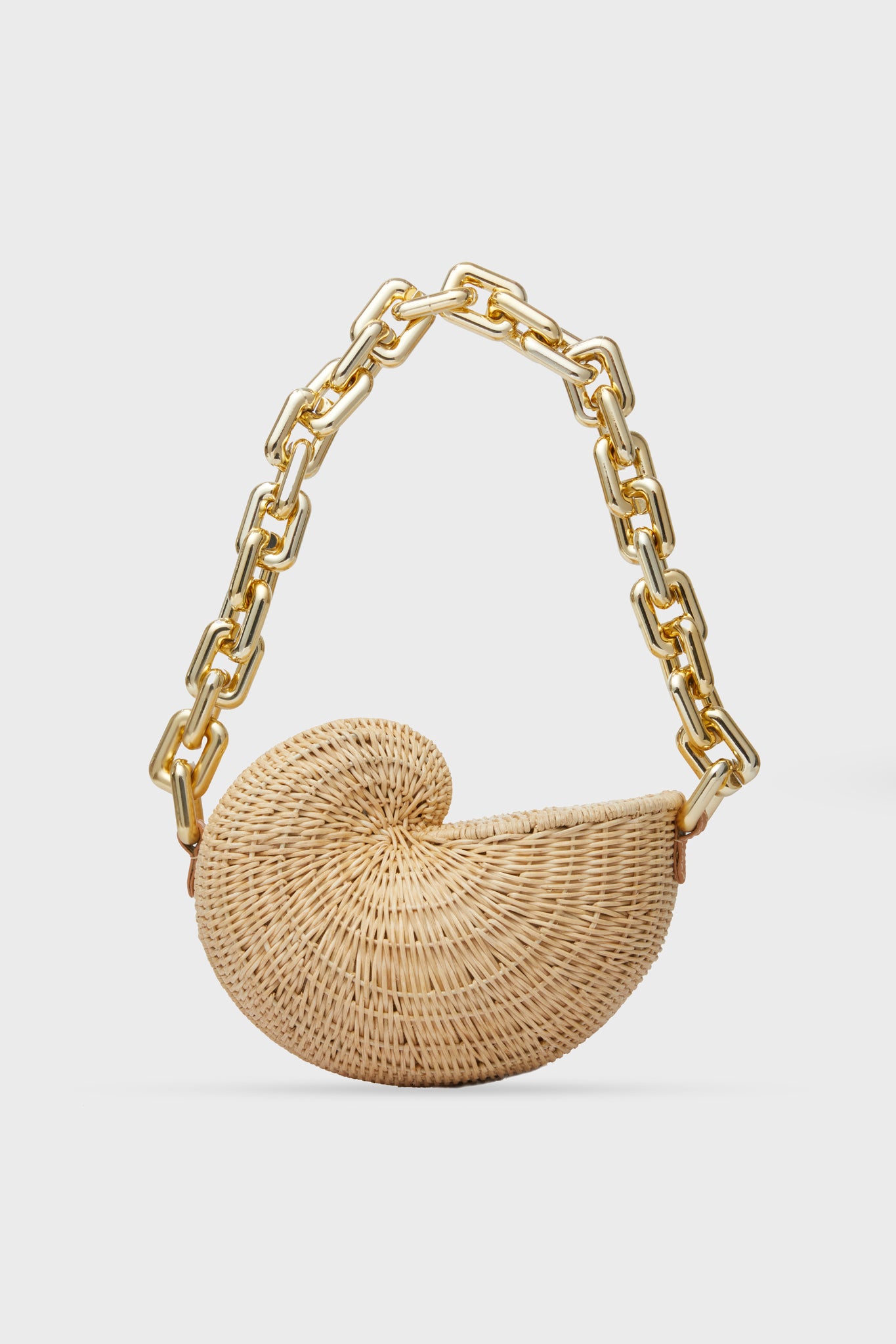 Natural the Anna Conch