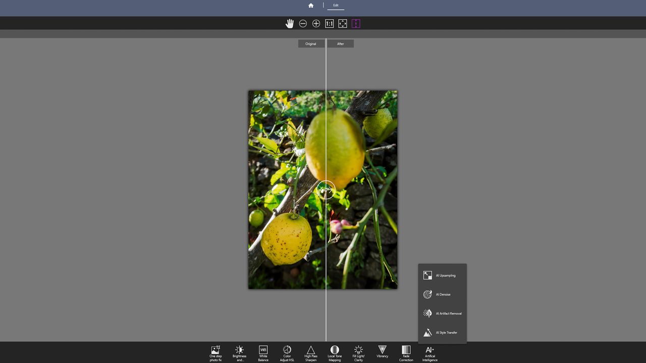 A screen grab from Corel PaintShop Pro