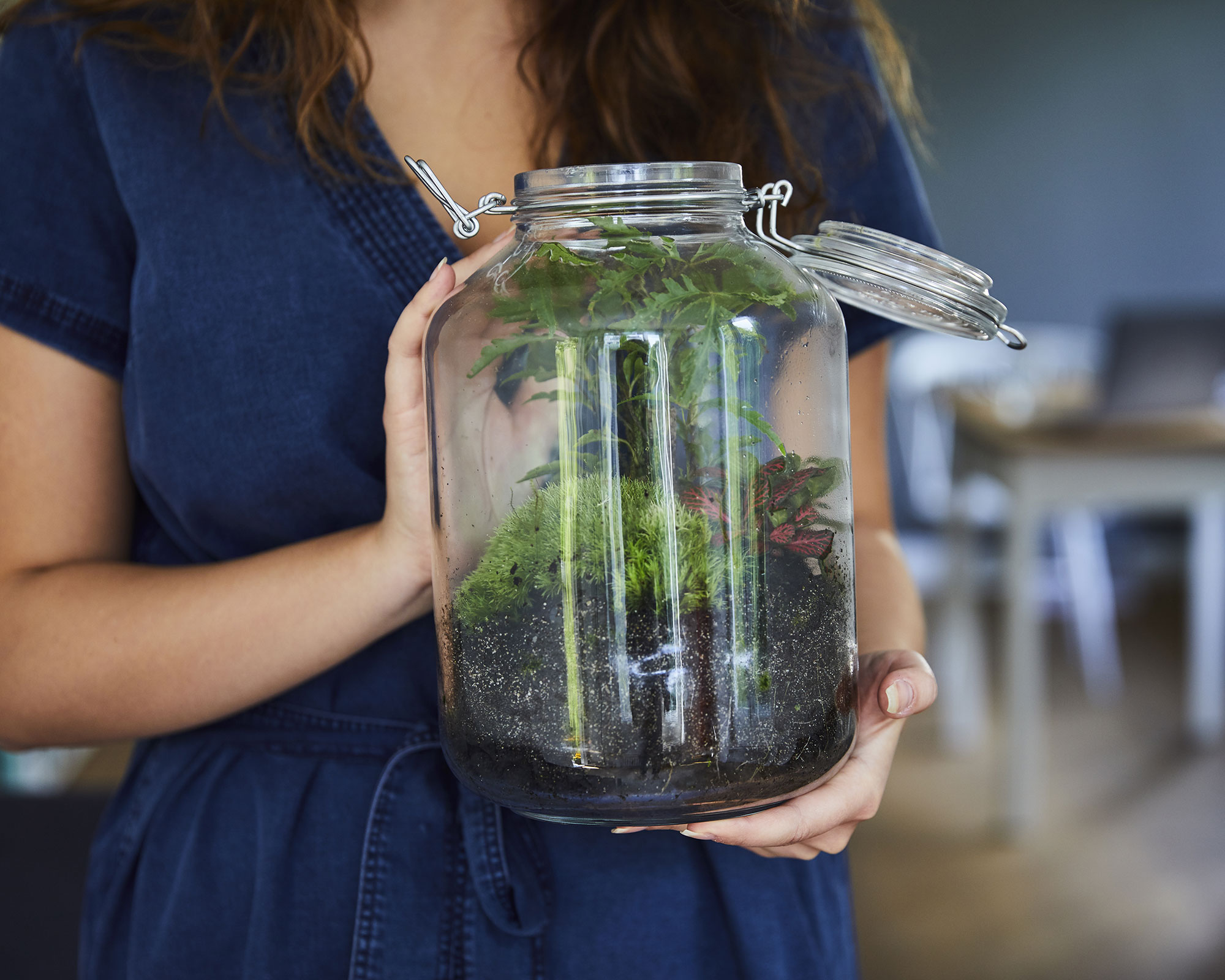 Terrarium care 5 mistakes to avoid to keep yours healthy Gardeningetc