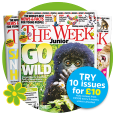 The week junior spring